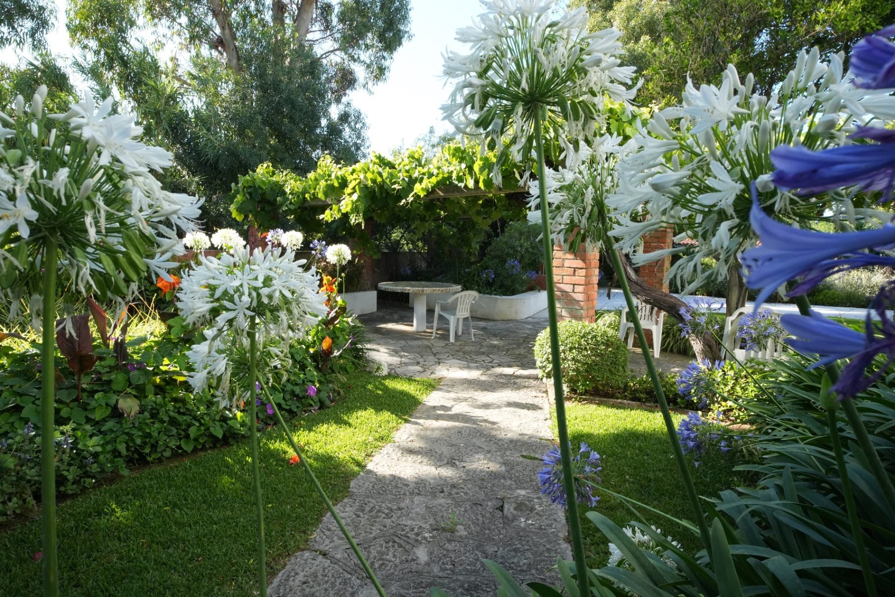 The garden