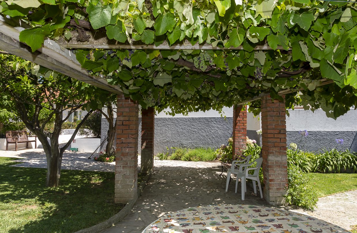 A shaded vine pergola with seating in the garden